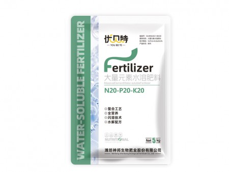 N20-P20-K20